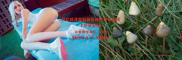 скорость mdpv Богородск