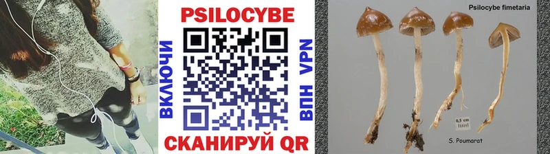 Галлюциногенные грибы ЛСД  omg как войти  Набережные Челны 